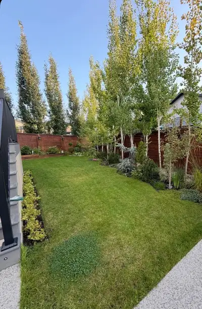 landscaping labor needed, View more