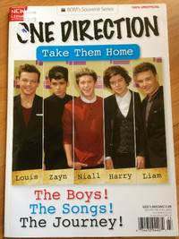 RARE LIVRE COLLECTION ONE DIRECTION TAKE THEM HOME  SOUVENIR