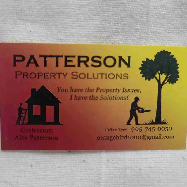 Tree Removal, Branch Removal Tree Cutting Service and Han in Lawn, Tree Maintenance & Eavestrough in Hamilton - Image 3