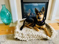 Crochet Dog Beds