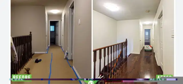 Fresh Layers  Co.64623143693697124