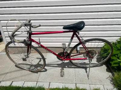 I purchased this Sekine in 1977. It does need some work.