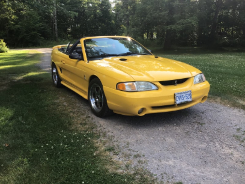 98 cobra Classic Cars Pembroke Kijiji