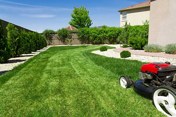 Affordable ! ! Lawn Care and Mowing services 
