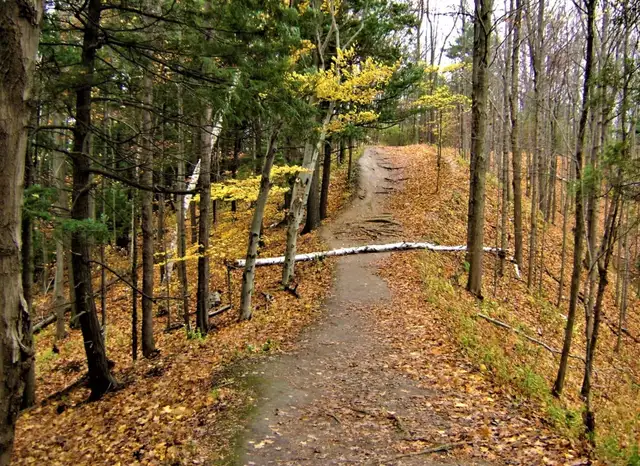Anyone Up for a Hike This Saturday?
