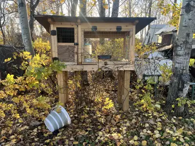 Rabbit Hutch, View more