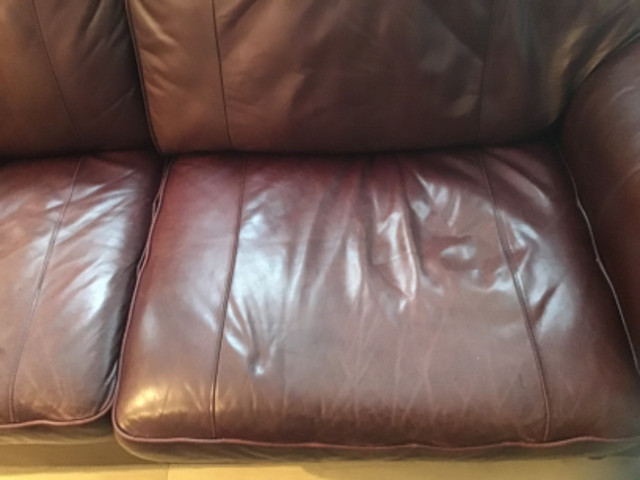 All Leather Sofa in Couches & Futons in Winnipeg - Image 2