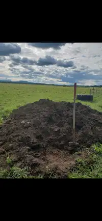 Sheep Manure for sale
