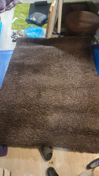 Large Brown Floor Carpet