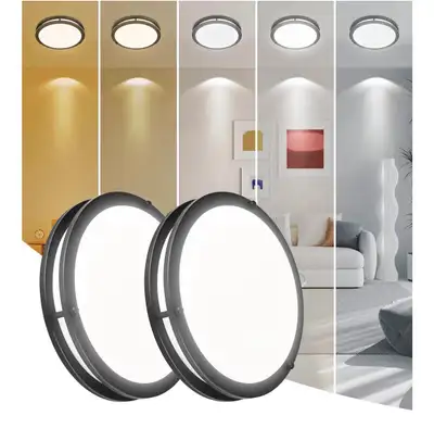 Ceiling Light - 2 Pack, View more