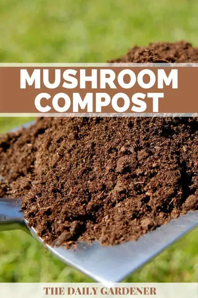 AGED & FRESH MUSHROOM COMPOST MUSHROOM SOIL FULL TRUCK LOADS, View more
