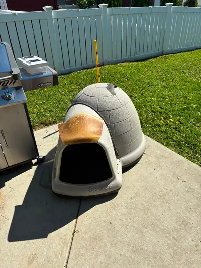 Dog house - Igloo, View more