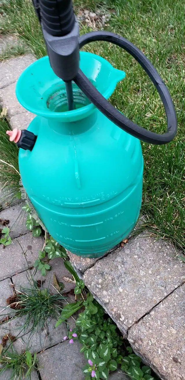 Garden spray bottle for yard gilds 2 gallons63234629384065121