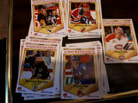 1992-93 Durivage Panini Grands Hockeyeurs Québécois 50 Cartes
