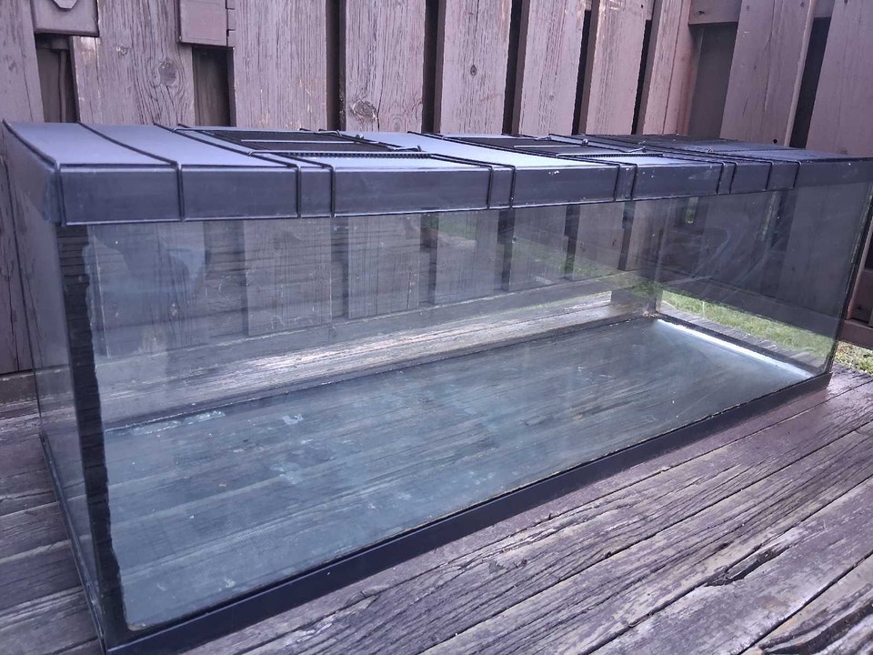 Terrarium pour lézard ou rongeur | Accessories | Longueuil / South ...