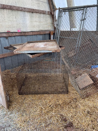 Rabbit cages with trays 
