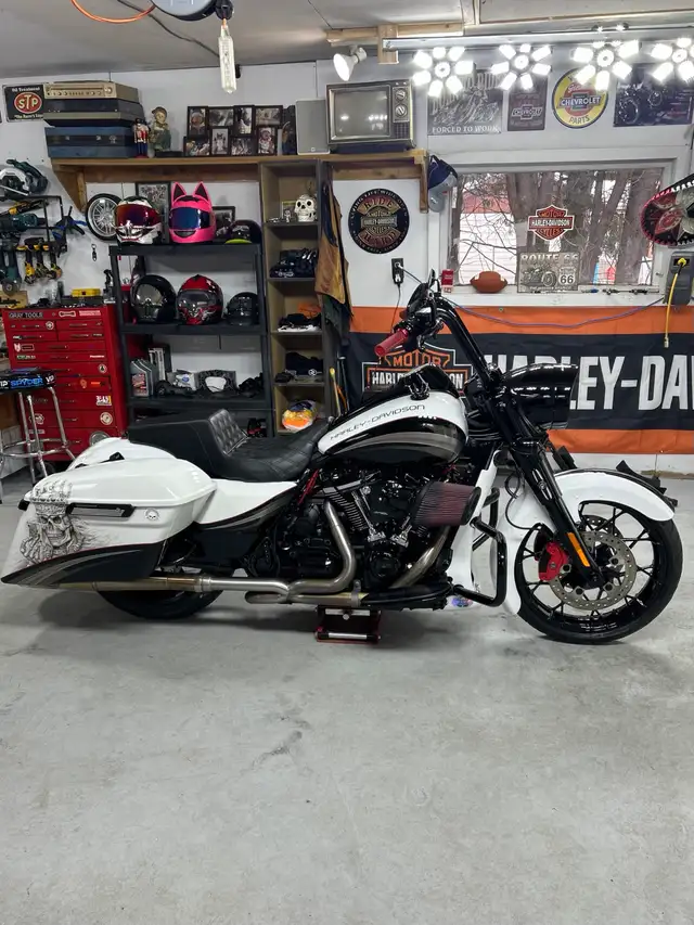 Road King 119pc in Touring in Gatineau - Image 8