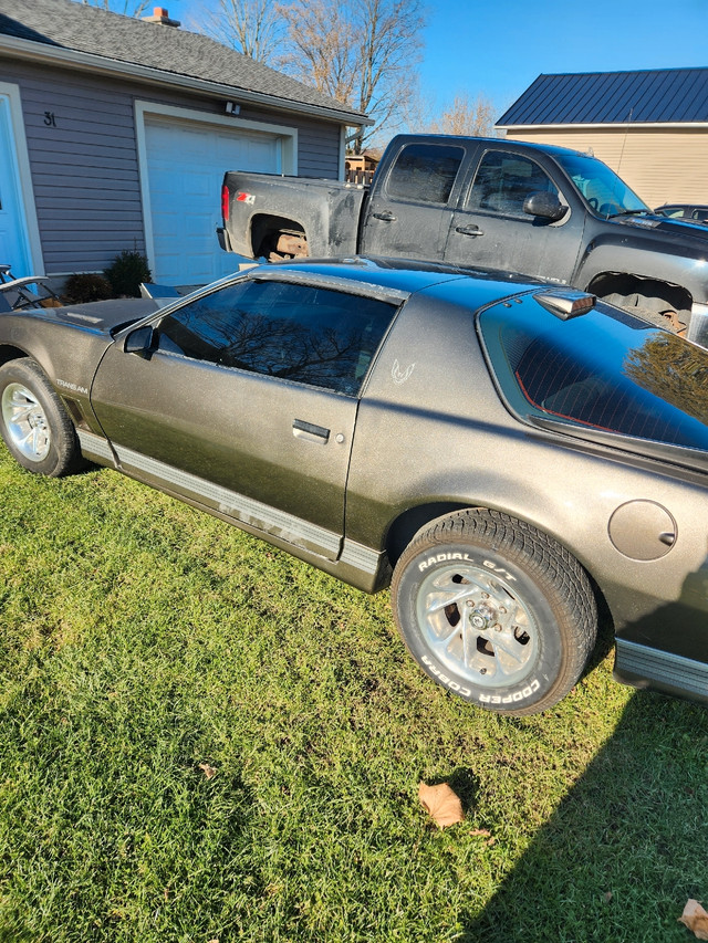 1986 Trans Am OBO in Classic Cars in Norfolk County - Image 3