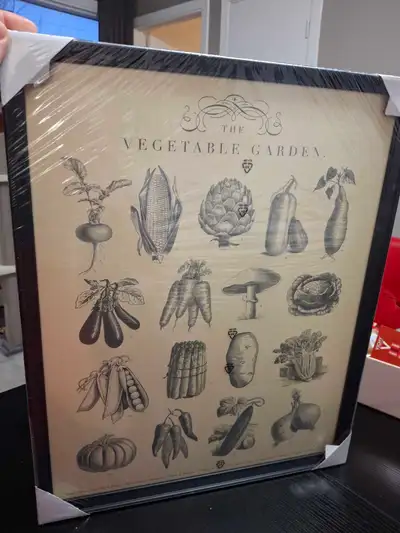 Cadres legumes, View more