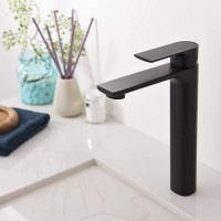 We offer multiple choices of faucets for bathroom and kitchen. T