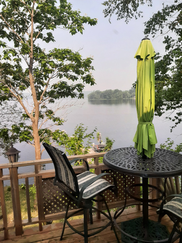 Live On The Lake in Long Term Rentals in Belleville