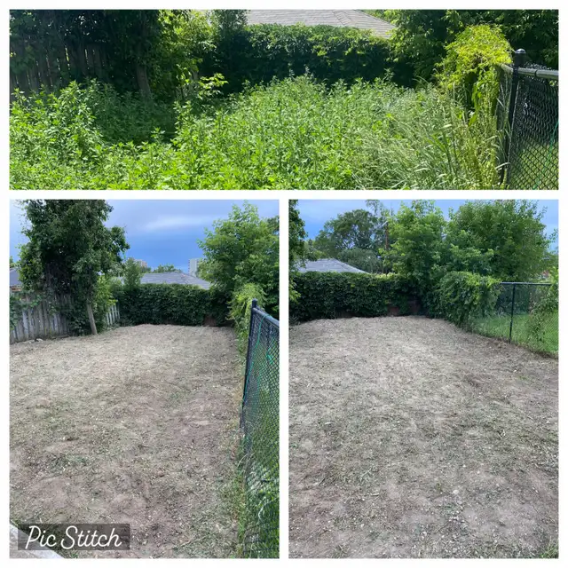 Scarborough, East York and Leaside Grass Cutting in Lawn, Tree Maintenance & Eavestrough in City of Toronto - Image 4