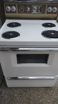 Electric stove and matching Fridge