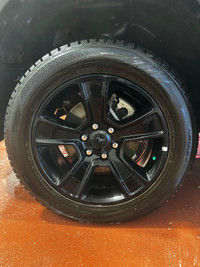Studded Winter Tires and Black Out Ram Rims - Price for the set