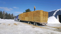 Straw for sale 