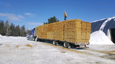 Straw for sale $6, View more