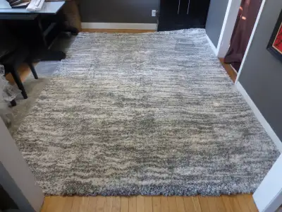 Large Plush Grey & Ivory Thick Shag Area Rug – 7’10x10’6, View more