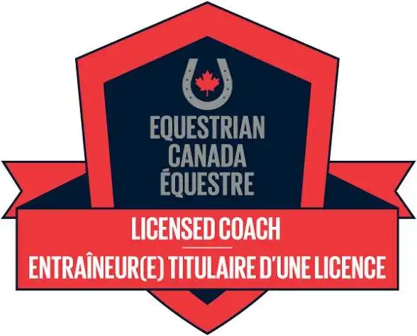 Riding lessons575594891188654086