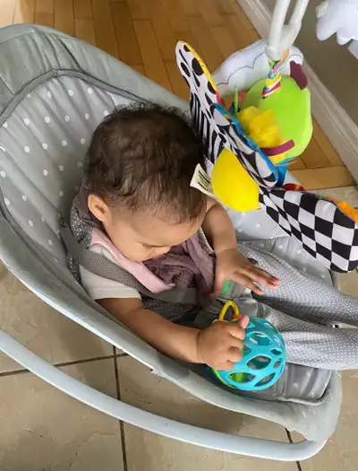 Ingenuity Plush Baby Rocker & Stationary Seat, View more