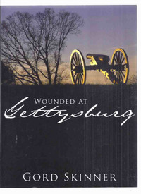 Wounded at Gettysburg 44 Letters Written By a Civil War Soldier