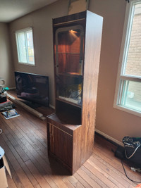 X2 wooden cabinets with glass door and lights