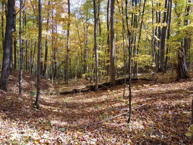 Waterfront Lot appx 3.4 AC in Nipissing Ont. year-round road in Land for Sale in North Bay - Image 9