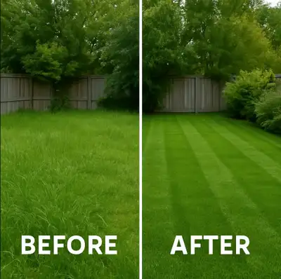 Fresh Grass Frontier – Reliable Lawn Mowing & Edge Trimming, View more