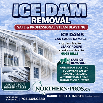STEAM ICE DAM REMOVAL - HEAT CABLE INSTALLATION - FULLY INSURED, View more