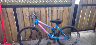 Used bike, View more
