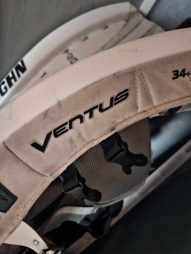 Vaughn Ventus Pads & Glove in Hockey in St. Albert