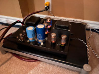 Quicksilver 60-Watt 8417 Tube Mono Amplifiers with 24 Extra 8417
