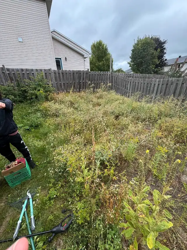 Extreme Weed Removal!63611971897473121