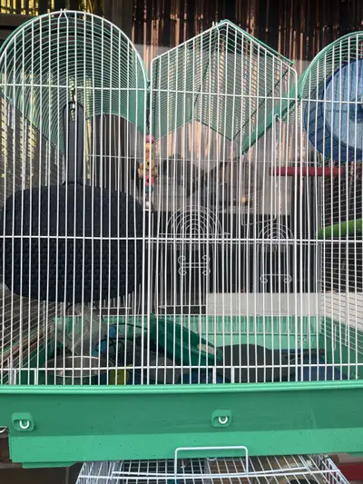 bird large cage sale , View more