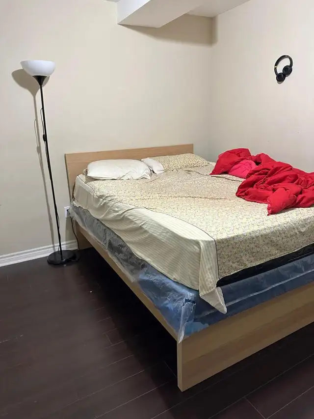 Brampton legal basement62863776450947122