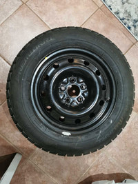 Premiorri Winter Tire
