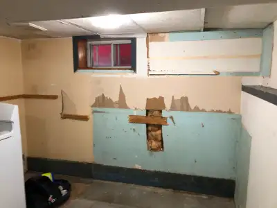 Drywall insulation, fix , patch, sending…. Paint rooms and whole house. 50$ per bigger job . Smaller...