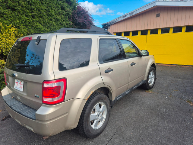 2010 ford escape in Cars & Trucks in Downtown-West End - Image 3