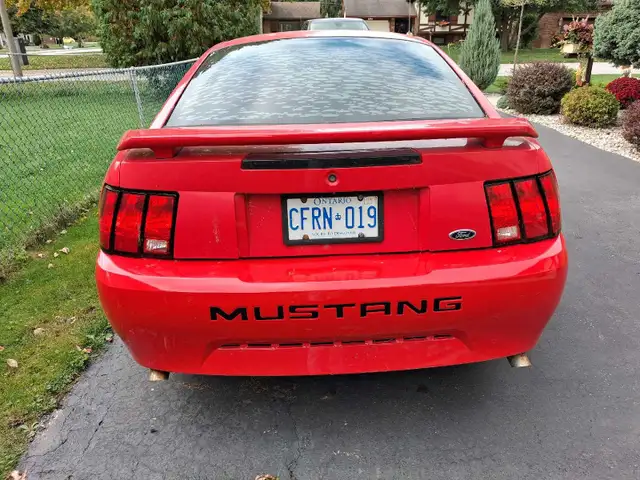 2004 FORD MUSTANG RUNS NEEDS SOME WORK594614105450096642