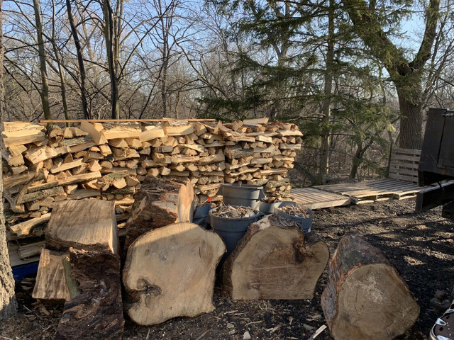 FIREWOOD in Fireplace & Firewood in City of Toronto - Image 2