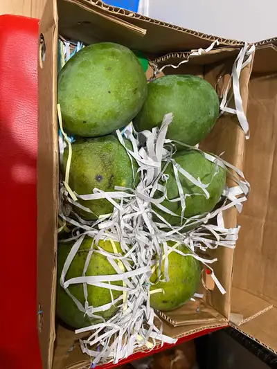 Fresh mangoes from Bangladesh available for pickup. Per box $27 .00 If you need more contact me. Ple...